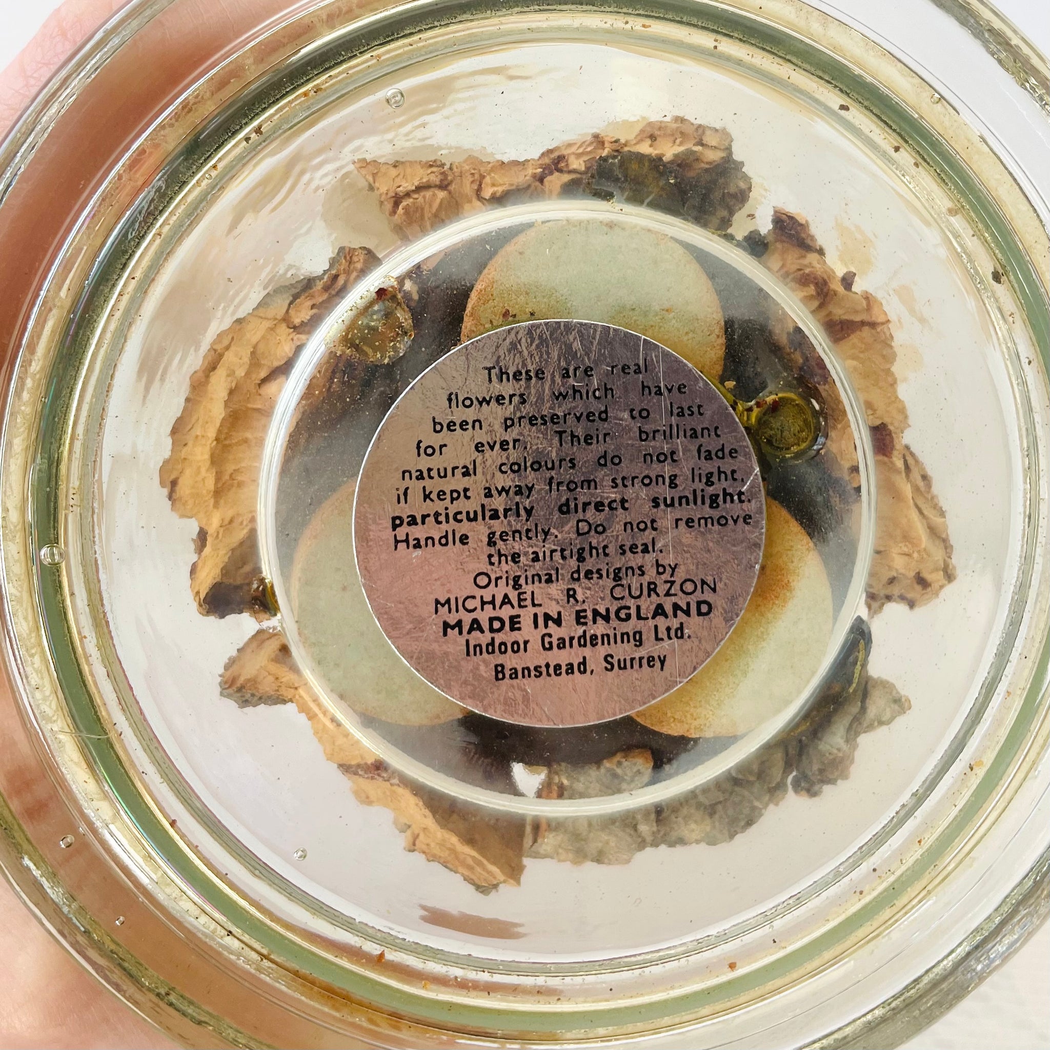 Vintage Preserved Flower Dome