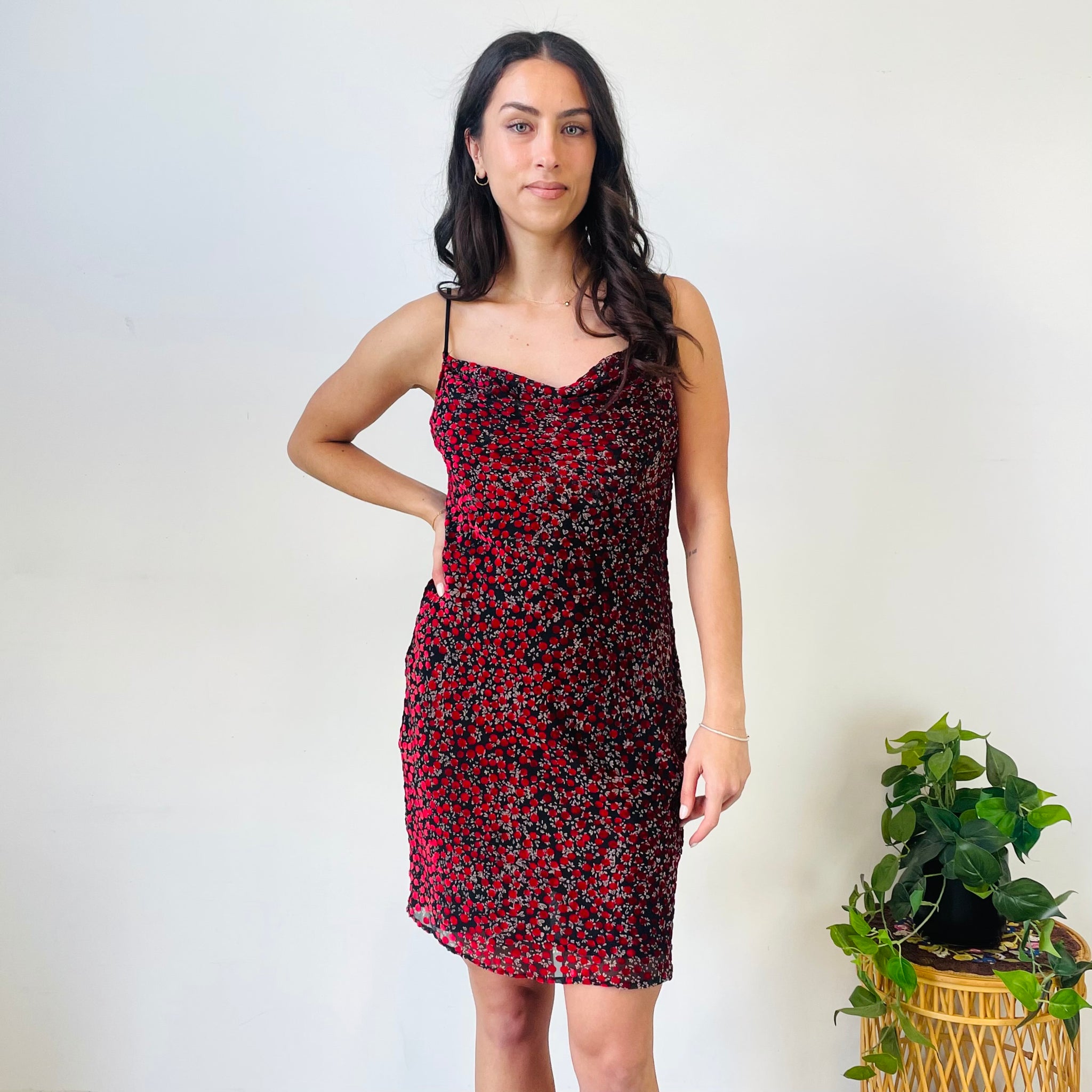 Ruby Polka Dot Dress (XS)