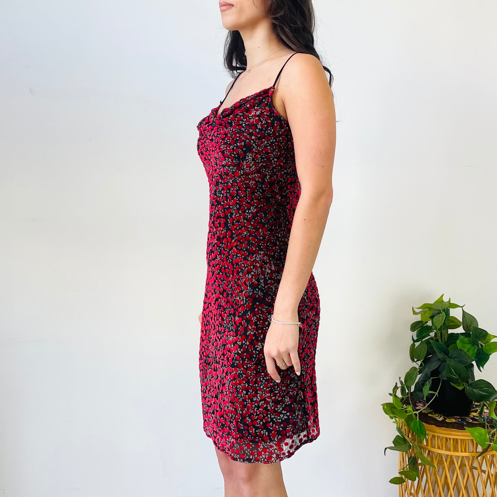 Ruby Polka Dot Dress (XS)
