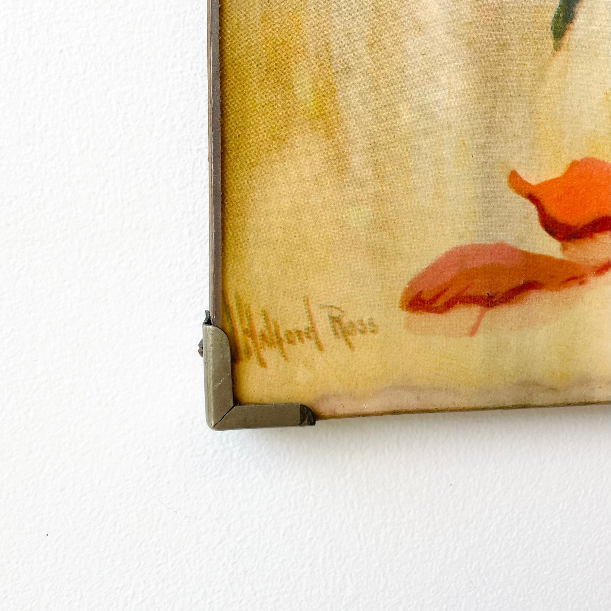 Vintage Poppies Print by J Halford Ross