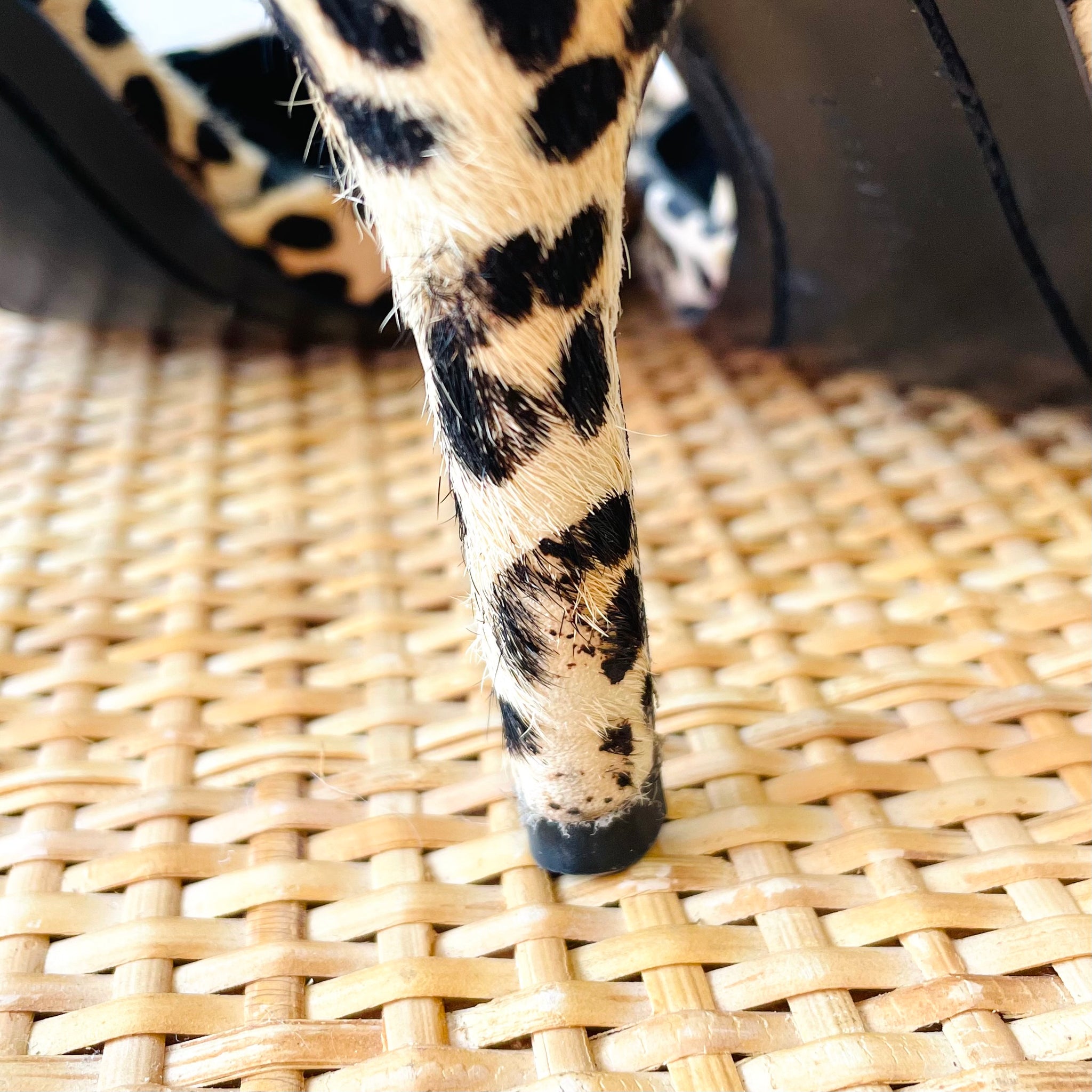Superette Leopard Print Heels (37)